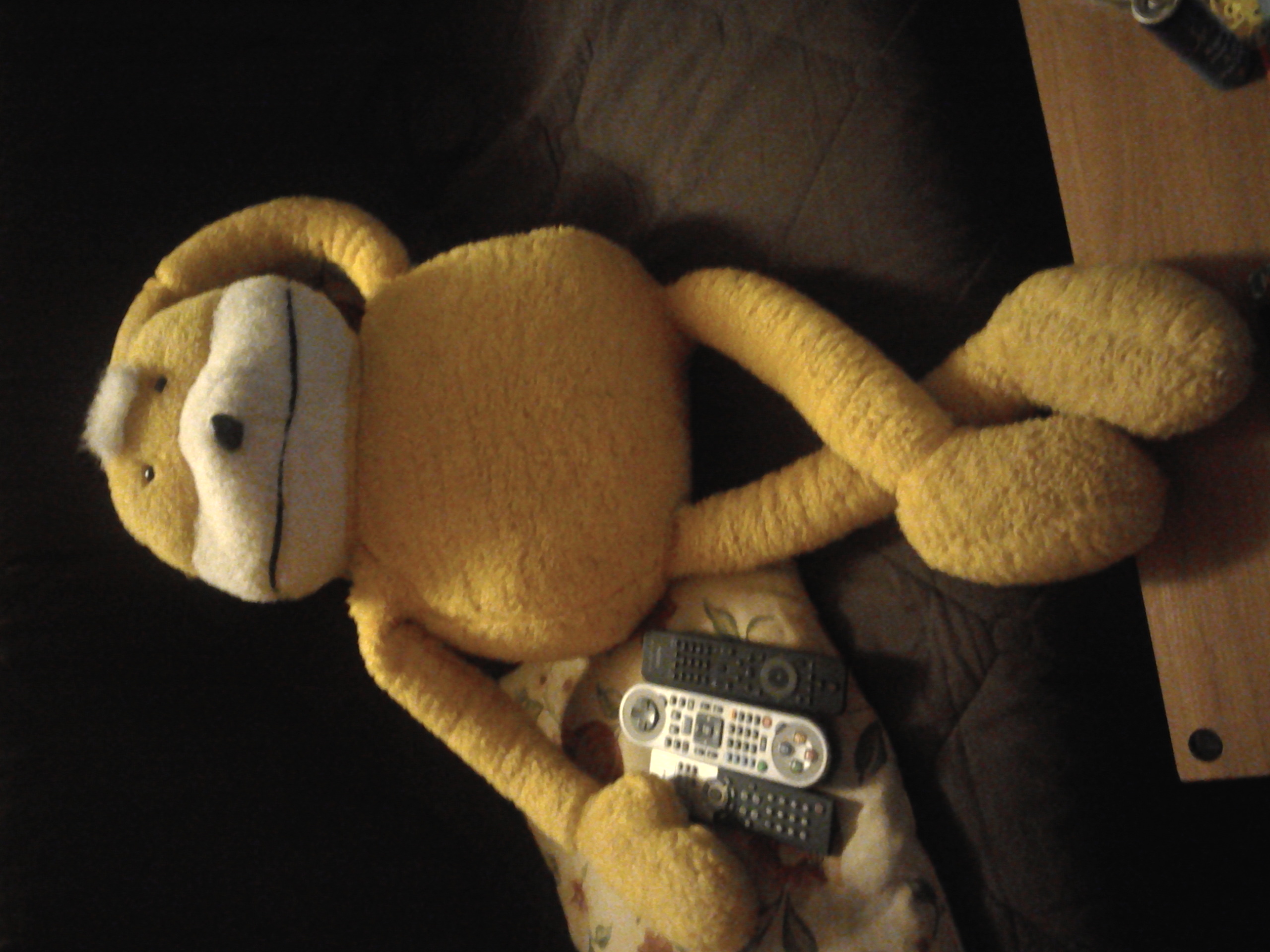 Bienvenue sur mon blog